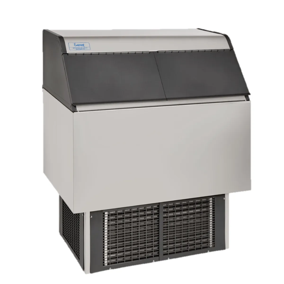 Máquina de gelo EGC 100 A